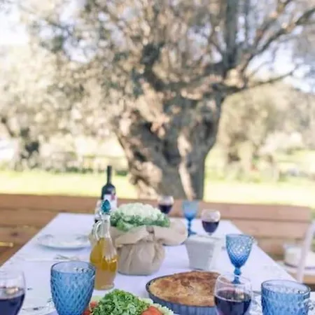 Asprolia Villa Lygia (Lefkada)