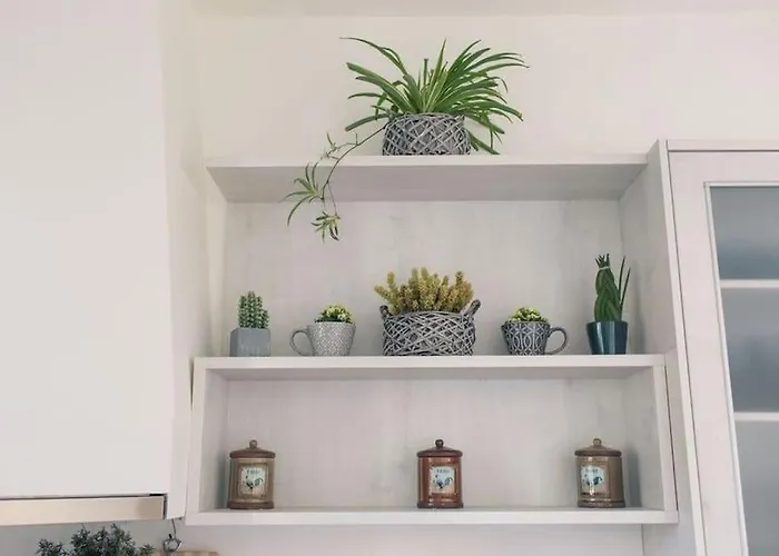 Asprolia Βίλα Λυγιά